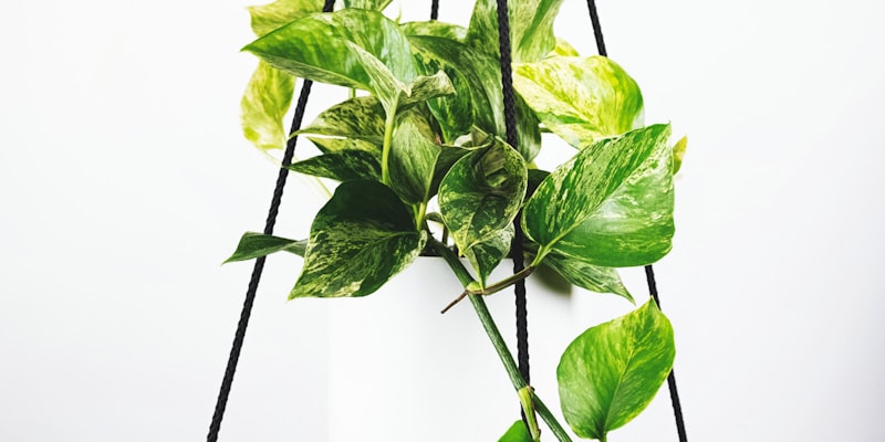 英超联赛官方比赛数据统计与分析 - Opta独家合作伙伴